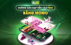 Huong dan nap tien vao FB88 bang momo 2 - Nhà cái FB88